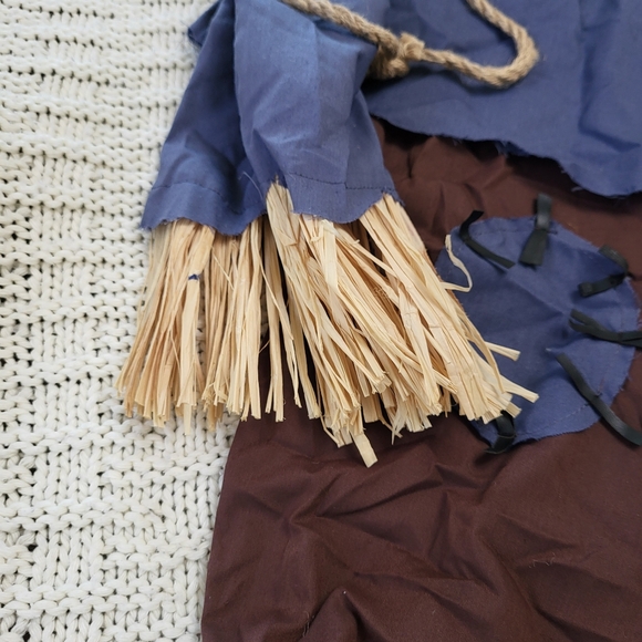 Scarecrow Costume - Picture 5 of 9